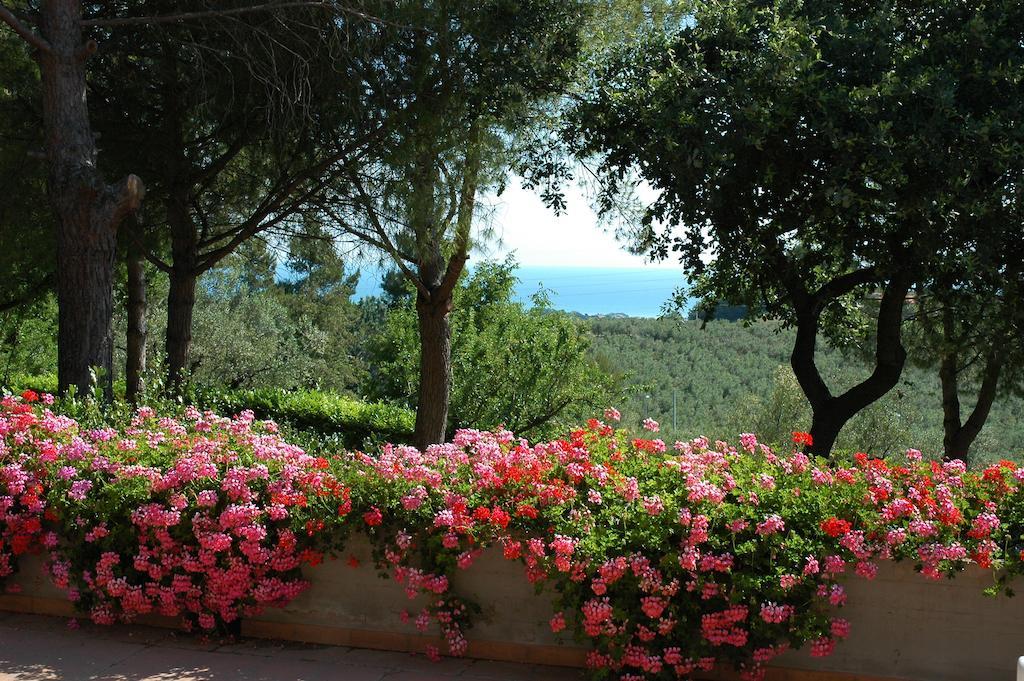 Colle Moro - B&B Villa Maria Citta Sant'Angelo Exterior photo